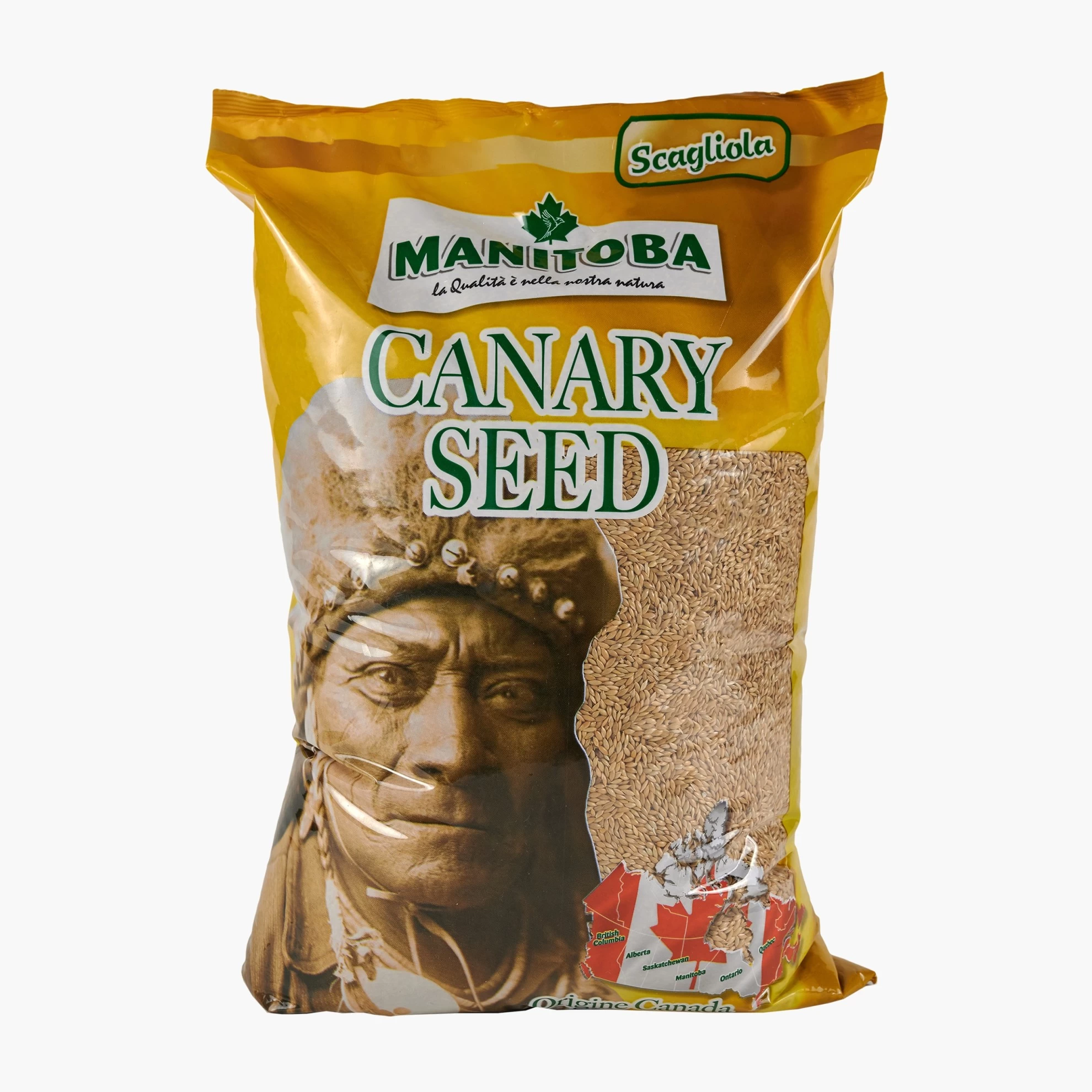 Manitoba Canary Seed-1 kg, seminte de falaris pentru pasari de colivie