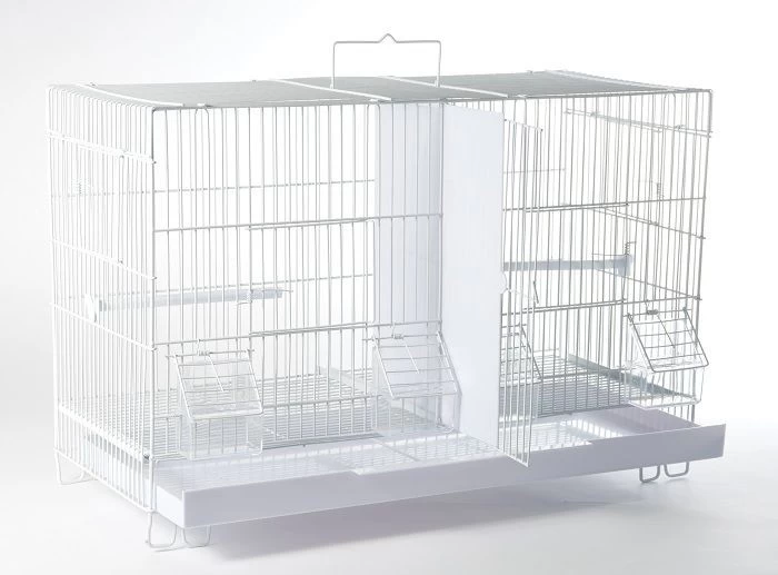 Colivie 503  dubla pasari exotice reproducere si cantec